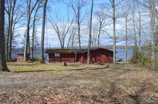 Photo 14: 195 Campbell Beach Road in Kawartha Lakes: Rural Carden House (Bungalow) for sale : MLS®# X4741548