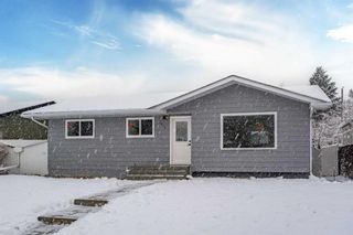 Photo 33: 9827 Auburn Road SE in Calgary: Acadia Detached for sale : MLS®# A2120310