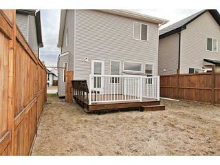 Photo 19: 195 CRANBERRY Close SE in CALGARY: Cranston Residential Detached Single Family for sale (Calgary)  : MLS®# C3611324