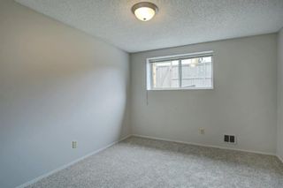 Photo 29: 258 Maunsell Close NE in Calgary: Mayland Heights Semi Detached for sale : MLS®# A1061854