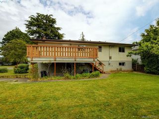 Photo 24: 1703 Sprucewood Pl in VICTORIA: SE Lambrick Park House for sale (Saanich East)  : MLS®# 841573