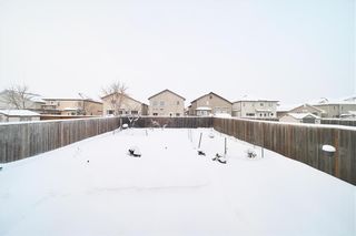 Photo 50: 1223 Colby Avenue in Winnipeg: Fairfield Park Residential for sale (1S)  : MLS®# 202228524