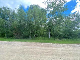 Photo 3: 86027 36 Road East in Brokenhead Rm: R02 Residential for sale : MLS®# 202316848