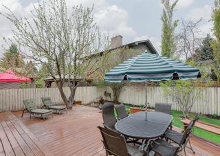 Photo 43: 916 70 Avenue SW in Calgary: Kelvin Grove Detached for sale : MLS®# A2048220
