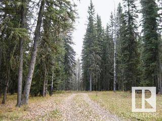 Photo 23: 75034 A TWP RD 453 A: Rural Wetaskiwin County House for sale : MLS®# E4320327