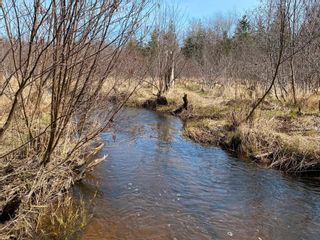 Photo 7: Lot 21 Lakeside Drive in Little Harbour: 108-Rural Pictou County Vacant Land for sale (Northern Region)  : MLS®# 202207907