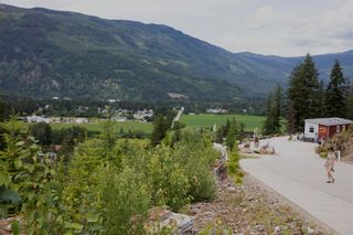 Photo 35: 278 Bayview Drive, in Sicamous: Vacant Land for sale : MLS®# 10264902
