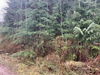Photo 13: Lot 61 Busby Island in Sonora Island: Isl Small Islands (Campbell River Area) Land for sale (Islands)  : MLS®# 893766