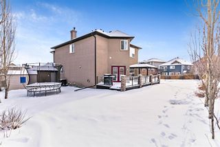 Photo 44: 151 Crystal Shores Drive: Okotoks Detached for sale : MLS®# A1186303