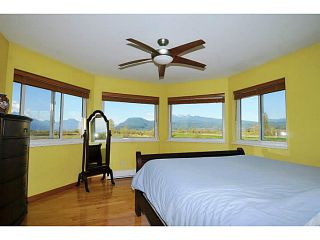 Photo 14: 20981 132ND Avenue in Maple Ridge: Northwest Maple Ridge House for sale : MLS®# V1116009