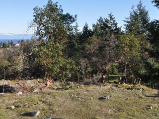 Photo 15: LOT 3 BROMLEY PLACE in NANOOSE BAY: PQ Fairwinds Land for sale (Parksville/Qualicum)  : MLS®# 802119