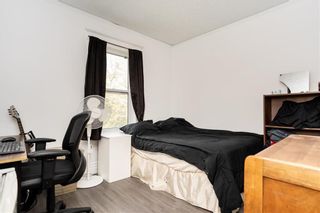 Photo 18: 157 Chestnut Street in Winnipeg: Wolseley Residential for sale (5B)  : MLS®# 202024846