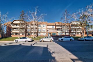 Photo 25: 305 1712 38 Street SE in Calgary: Forest Lawn Apartment for sale : MLS®# A2124805