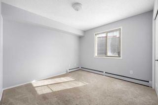 Photo 19: 210 428 Chaparral Ravine View SE in Calgary: Chaparral Apartment for sale : MLS®# A2114017