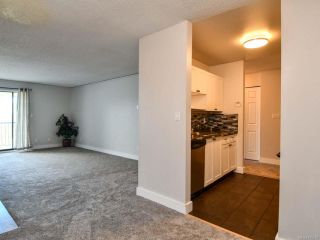 Photo 3: 315 585 Dogwood St in CAMPBELL RIVER: CR Campbell River Central Condo for sale (Campbell River)  : MLS®# 795970