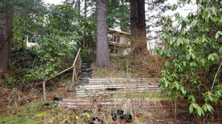Photo 50: 1541 Croation Rd in Campbell River: CR Campbell River Central House for sale : MLS®# 870733