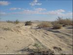 Main Photo: BORREGO SPRINGS Property for sale: 8th Street