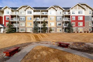 Photo 2: 3105 155 Skyview Ranch Way NE in Calgary: Skyview Ranch Apartment for sale : MLS®# A1179109