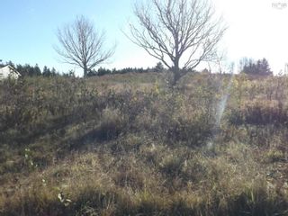 Photo 6: 9 Brooks Road in Ashmore: Digby County Vacant Land for sale (Annapolis Valley)  : MLS®# 202225453