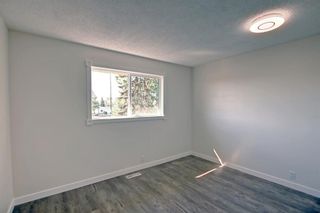 Photo 28: 332 Abinger Crescent NE in Calgary: Abbeydale Detached for sale : MLS®# A1258594