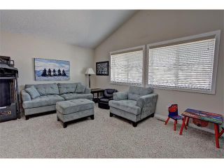 Photo 10: 258 HILLCREST Circle SW: Airdrie House for sale : MLS®# C4016316