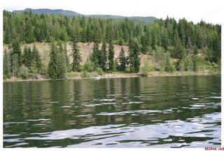 Photo 14: Lot 1 or Lot A Squilax-Anglemont Rd in Magna Bay: Waterfront Land Only for sale (Shuswap Lake)  : MLS®# 10026690 or 10026671