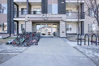 Photo 1: 215 7210 80 Avenue NE in Calgary: Saddle Ridge Apartment for sale : MLS®# A1091258