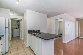 Photo 11: 309 5555 Falsbridge Drive NE in Calgary: Falconridge Apartment for sale : MLS®# A2093648