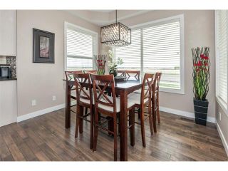 Photo 10: 264 RAINBOW FALLS Way: Chestermere House for sale : MLS®# C4117286