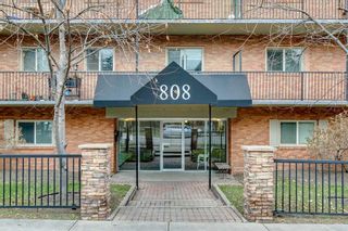 Main Photo: 313 808 Royal Avenue SW in Calgary: Lower Mount Royal Apartment for sale : MLS®# A2094948