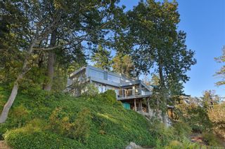 Photo 51: 333 CYRIL OWEN Pl in Saanich: SW Prospect Lake House for sale (Saanich West)  : MLS®# 950600