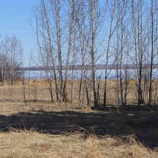 Photo 13: 514 54411 RR 40: Rural Lac Ste. Anne County Rural Land/Vacant Lot for sale : MLS®# E4239941