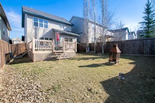 Photo 40: 91 Evansbrooke Manor NW in Calgary: Evanston Detached for sale : MLS®# A1211747