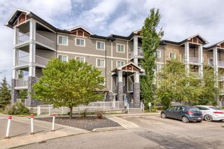 Main Photo: 3317 115 Prestwick Villas SE in Calgary: McKenzie Towne Apartment for sale : MLS®# A2052017