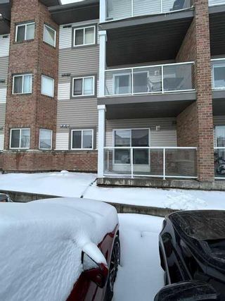 Photo 25: 118 92 Saddletree Court NE in Calgary: Saddle Ridge Apartment for sale : MLS®# A2121337