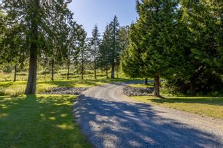Photo 6: 19701 12 Avenue in Langley: Campbell Valley House for sale : MLS®# R2704667