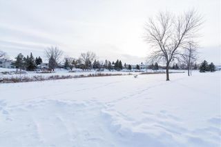 Photo 50: 123 Willow Point Road in Winnipeg: Southdale Residential for sale (2H)  : MLS®# 202300378
