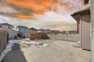 Photo 35: 968 Taradale Drive NE in Calgary: Taradale Detached for sale : MLS®# A2114413