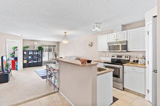 Photo 3: 103 260 Shawville Way SE in Calgary: Shawnessy Apartment for sale : MLS®# A1188183