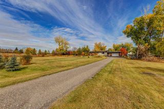 Photo 6: 78 Canal Court in Rural Rocky View County: Rural Rocky View MD Detached for sale : MLS®# A2085984