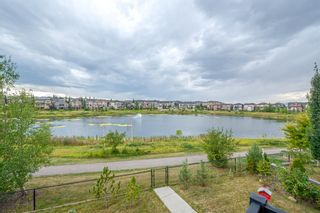 Photo 45: 236 Panatella Green NW in Calgary: Panorama Hills Detached for sale : MLS®# A1257971