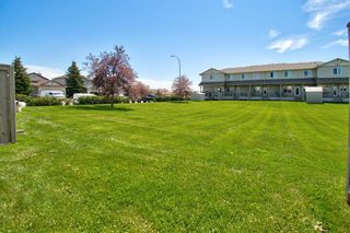Photo 11: 903 2001 Luxstone Boulevard SW: Airdrie Row/Townhouse for sale : MLS®# A1239146