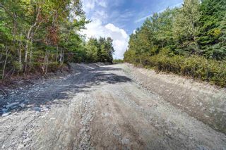 Photo 19: 22161 Highway 7 in Sheet Harbour: 35-Halifax County East Vacant Land for sale (Halifax-Dartmouth)  : MLS®# 202225450