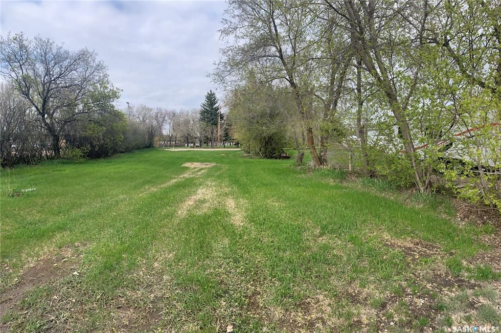Main Photo: 201 5th Avenue East in Watrous: Lot/Land for sale : MLS®# SK895389
