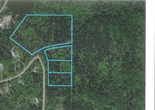 Photo 2: LOT 9 GRANTHAM Road in Smithers: Smithers - Rural Land for sale in "Grantham" (Smithers And Area (Zone 54))  : MLS®# R2604033