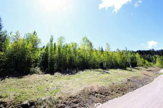 Photo 8: Lot 1 Rose Crescent: Eagle Bay Land Only for sale (South Shuswap)  : MLS®# 10204140