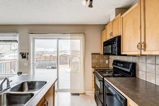 Photo 20: 117 Prestwick Rise SE in Calgary: McKenzie Towne Detached for sale : MLS®# A1242668