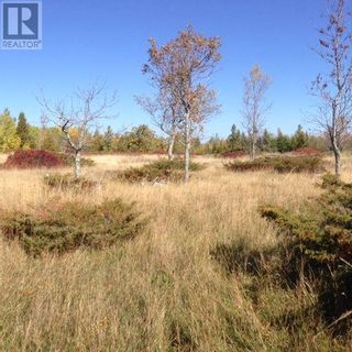 Photo 32: 2100 540 Highway in Little Current: Vacant Land for sale : MLS®# 2110210