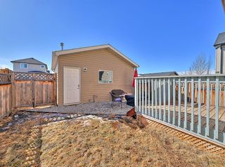 Photo 37: 381 Cranberry Circle SE in Calgary: Cranston Detached for sale : MLS®# A1194838