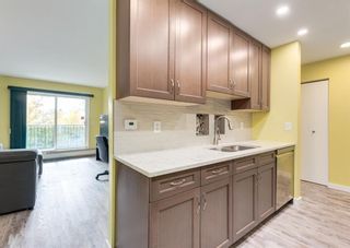 Photo 12: 208 11 Dover Point SE in Calgary: Dover Apartment for sale : MLS®# A1151634